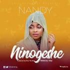 Nandy New Song – Ninogeshe icône