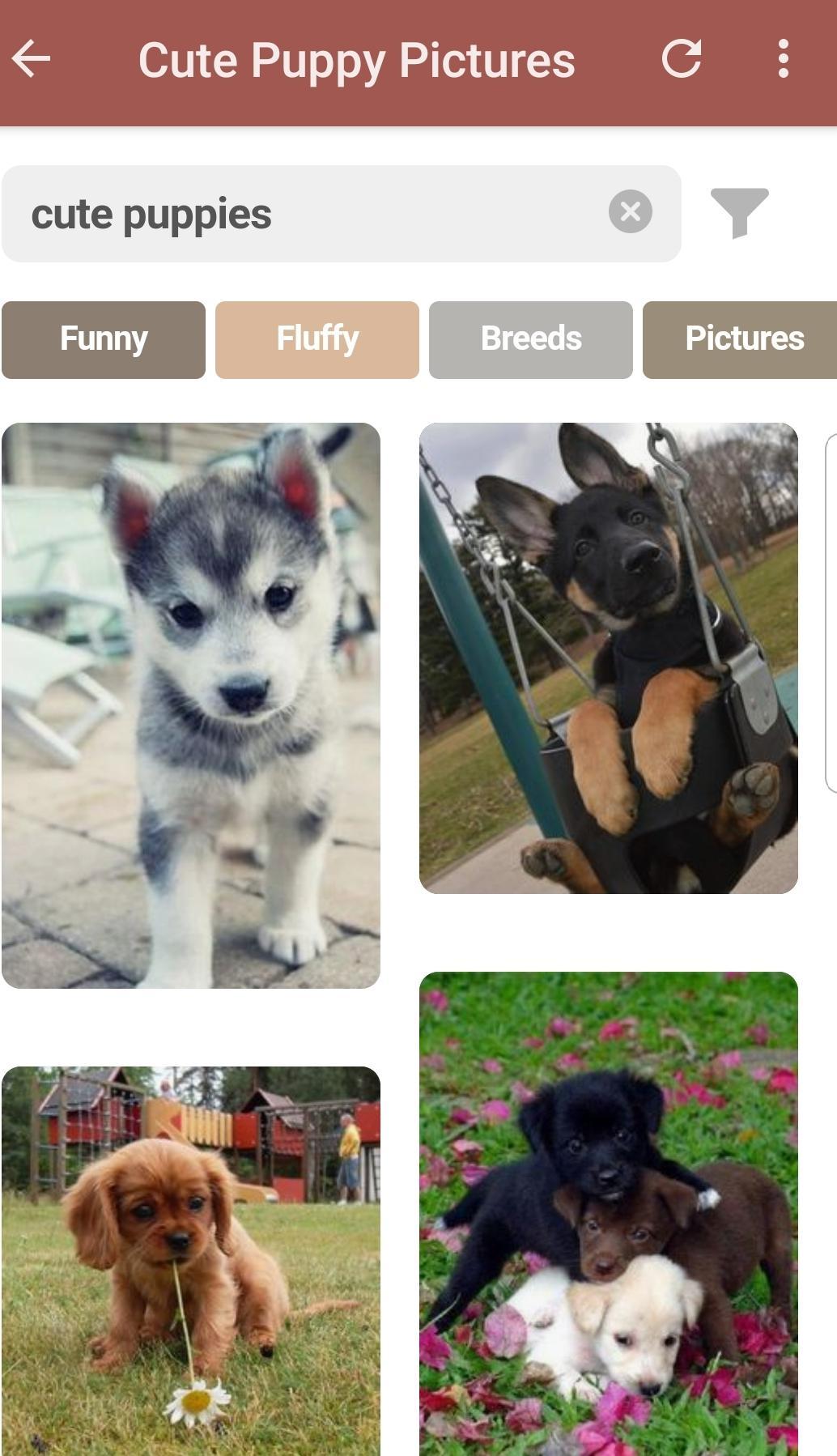 Cute Dog Puppies Videos For Android Apk Cute Dog Puppies Videos For Android