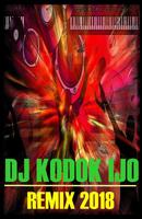Dj Kodok ijo Remix पोस्टर