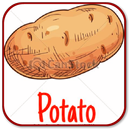 Potato Beauty Benefits For Skin And Hair APK