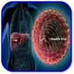 How to Prevent Hepatitis B