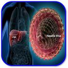 How to Prevent Hepatitis B icon