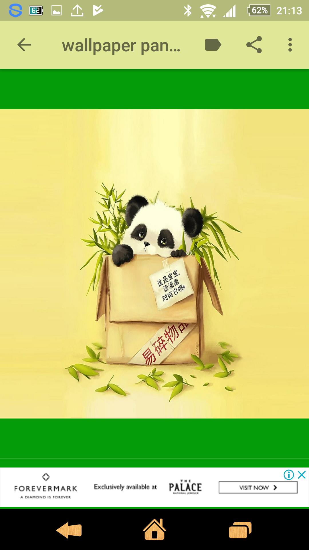 Wallpaper Panda Lucu For Android APK Download