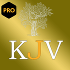 (PRO) King James Audio Bible أيقونة