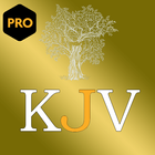 (PRO) King James Audio Bible icône