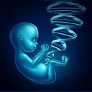Ultrasound OB/GY APK