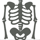 APK Musculoskeletal X- Rays