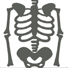 Musculoskeletal X- Rays biểu tượng