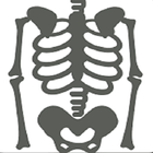 Musculoskeletal X- Rays 圖標