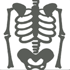 Musculoskeletal X- Rays アイコン