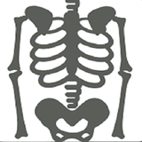 Musculoskeletal X- Rays أيقونة