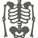 Musculoskeletal X- Rays Interpretation APK