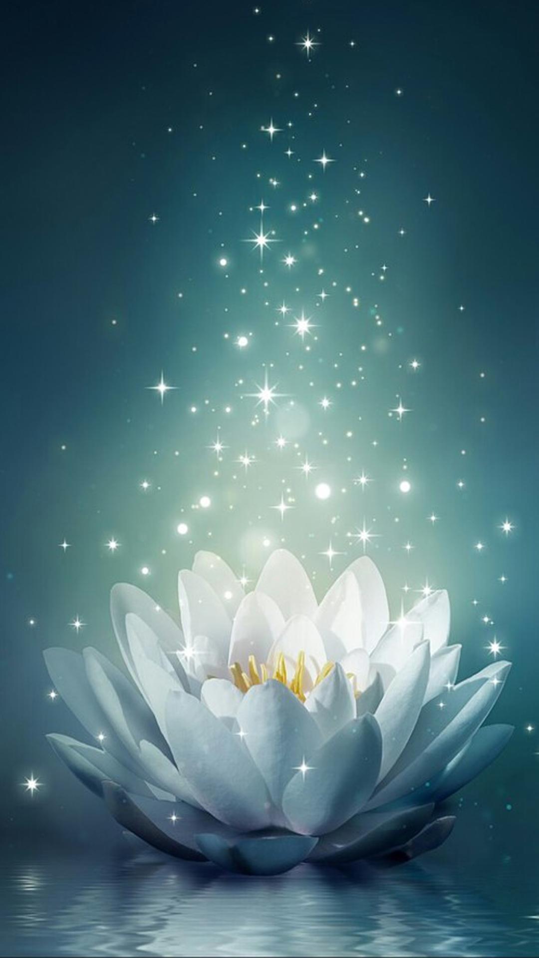 ดาวน์โหลด LOTUS Live Wallpapers Ultra HD APK สำหรับ Android ดาวน์โหลด LOTUS Live Wallpapers Ultra HD APK สำหรับ Android