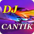 Dj CANTIK Remix