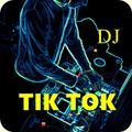 Dj Tik Tok Remix