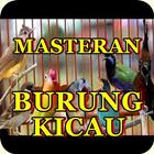 Masteran Cililin - Lovebird lengkap アイコン