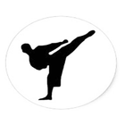 Taekwondo icône