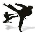 Kung Fu Lessons