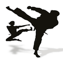 Kung Fu Lessons APK