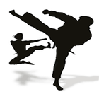 Kung Fu Lessons アイコン
