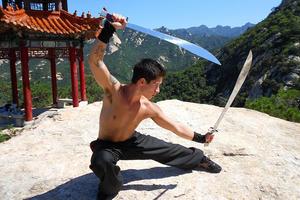 Kung Fu Lessons ảnh chụp màn hình 1