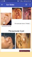 Atlas of Opthalmology & E.N.T ảnh chụp màn hình 1