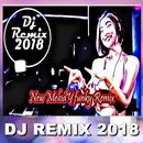 Lagu DJ REMIX 2018 APK