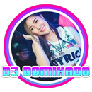 DJ DOMIKADO APK