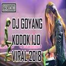 DJ Kodok Ijo House Music 2018 APK