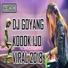 DJ Kodok Ijo House Music 2018 simgesi