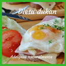Dieta Dukan APK