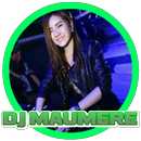 Dj Maumere Offline APK