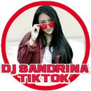 Dj Sandrina 2018 Offline APK