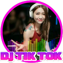 Dj Tik Tok 2018 Offline APK