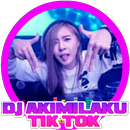 Dj Akimilaku Offline 2018 APK