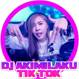 Dj Akimilaku Offline 2018 icon