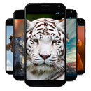 Wallpapers Hewan APK