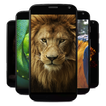 Background Animals 3D