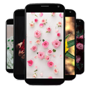 Bunga Cantik Wallpaper APK