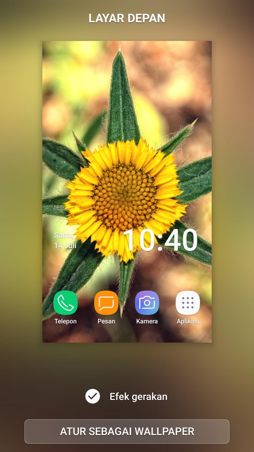 6000+ Wallpaper Cantik Bunga Gratis 6000+ Wallpaper Cantik Bunga Gratis