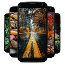 Looks Natural Wallpaper APK