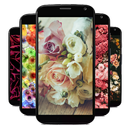 Beautiful Flowers Wallpapers APK