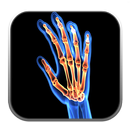 Rheumatology Secrets APK