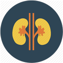 Nephrology Secrets APK