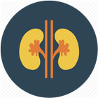 Nephrology Secrets icono