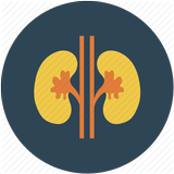Nephrology Secrets icon