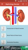 Nephrology Secrets poster