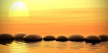 Meditation Guide
