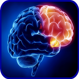 Neurology Basics アイコン
