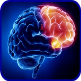 Neurology Basics APK